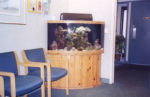 Drs. Kenneth Robin Rawlinson, LLC | Veneers, Extractions and Root Canals